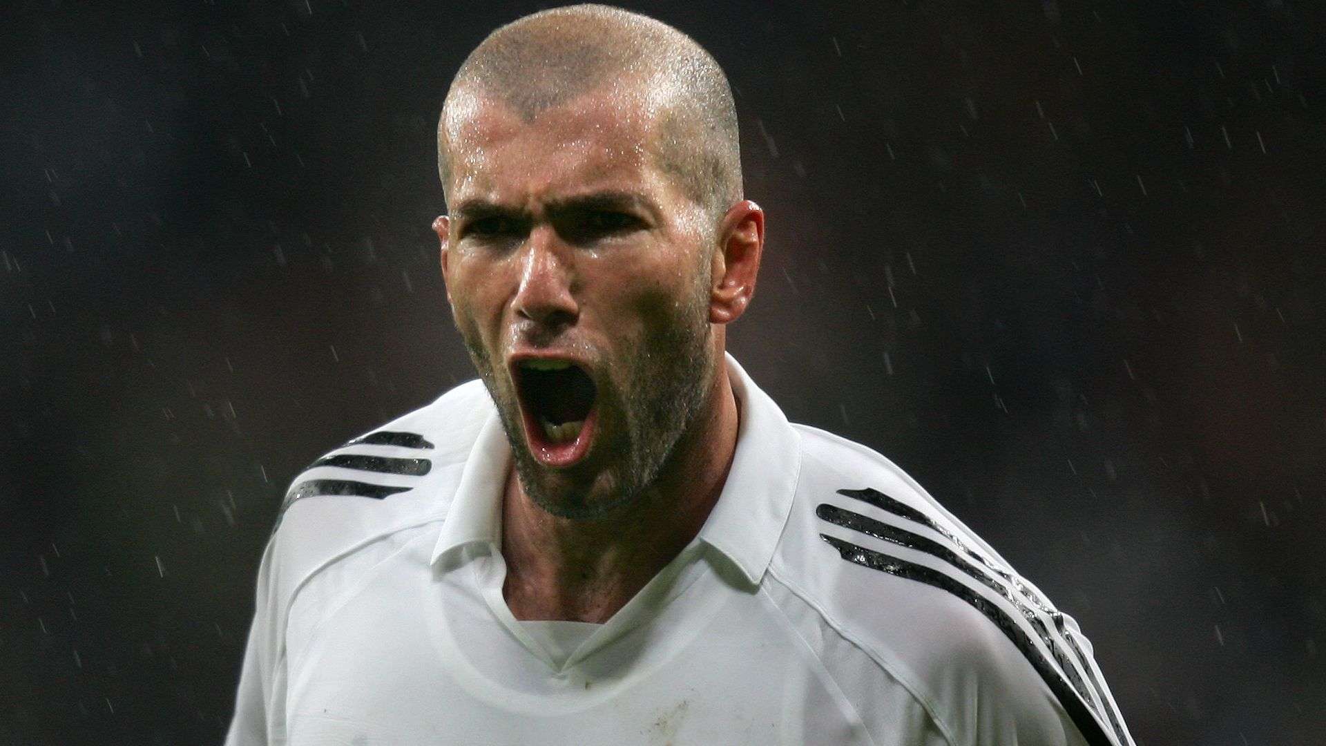 上需进行全 上需进行全